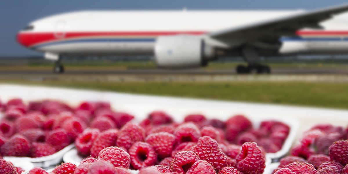 Нетрайните продукти оказват все по-голям натиск на пазара на въздушни товари. Нетрайните продукти оказват все по-голям натиск на пазара на въздушни товари.