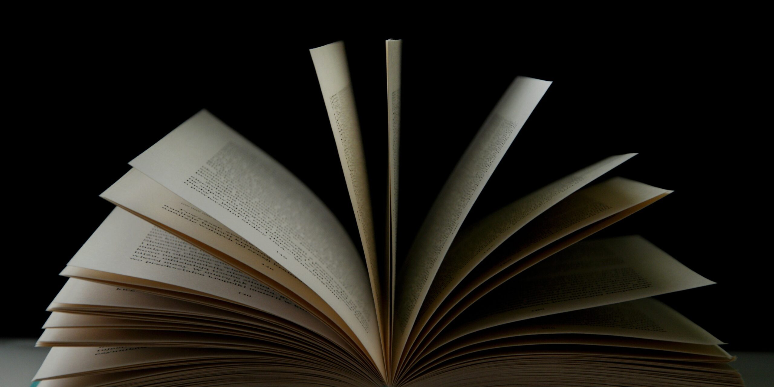 mikolaj-DCzpr09cTXY-unsplash